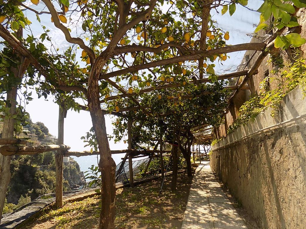 Ferienwohnung Acquachiara Relais Maiori Exterior foto