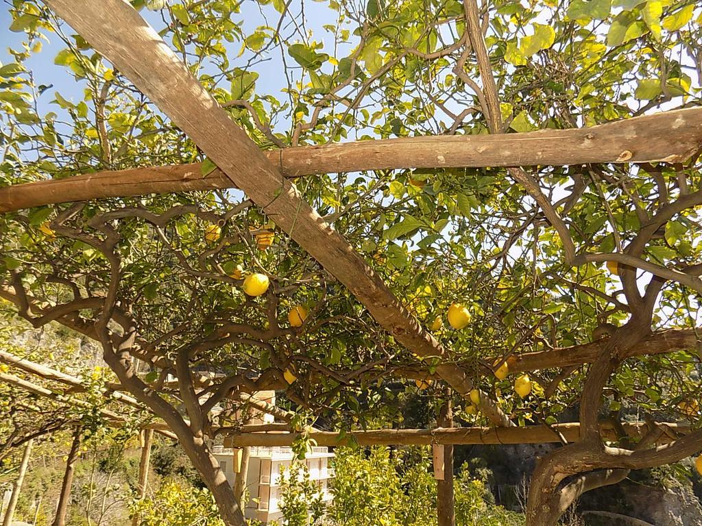 Ferienwohnung Acquachiara Relais Maiori Exterior foto